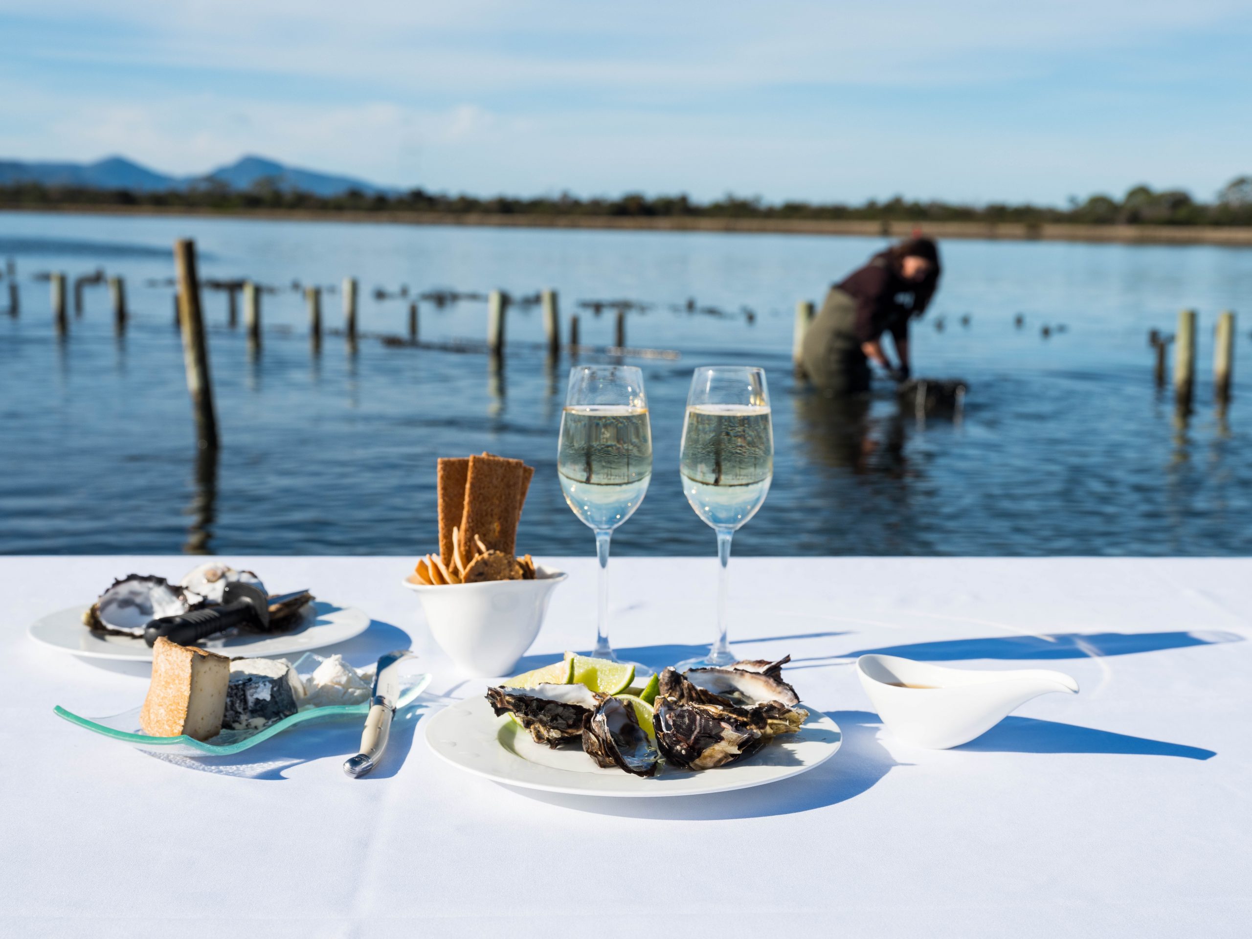 Saffire fresh oysters